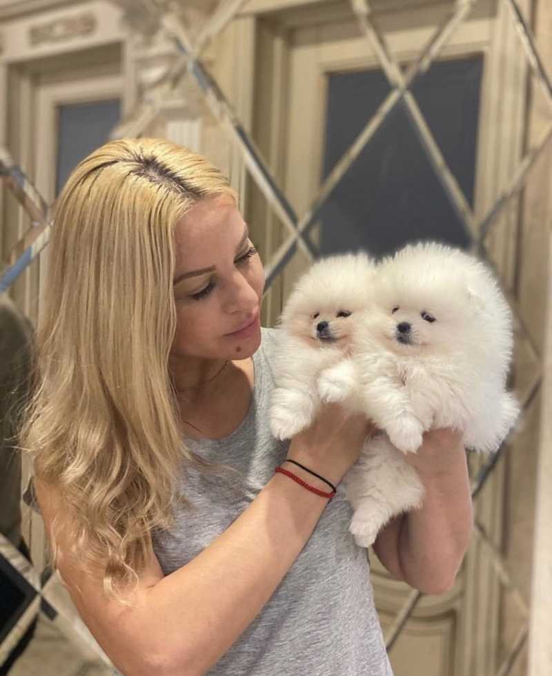 2 beautiful Pomeranian puppies.